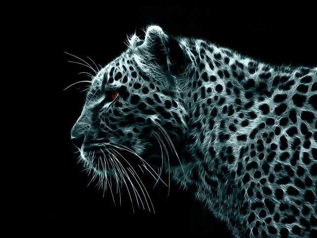 23389-Leopard_-_background_windows_7.jpg