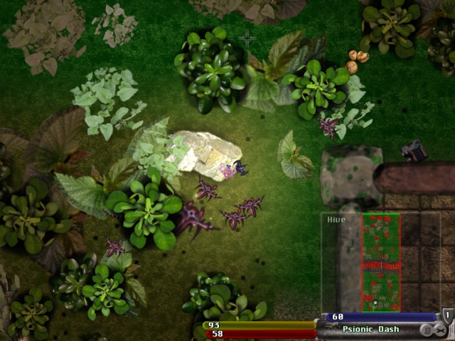27631-unnamed%20%283%29.jpg