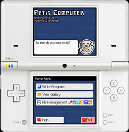 30609-DSi.png